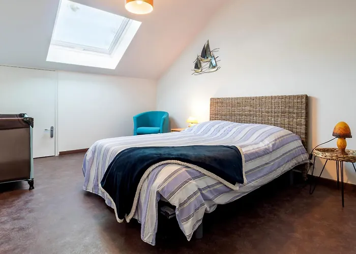 Prázdninový dům Maison Spacieuse A 800m Plage, Jardin, Animaux Admis, Parking, Wifi - Fr-1-306-1294 *